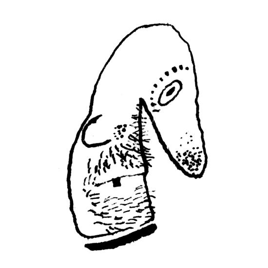 Autor - Lisen Adb&aring;ge