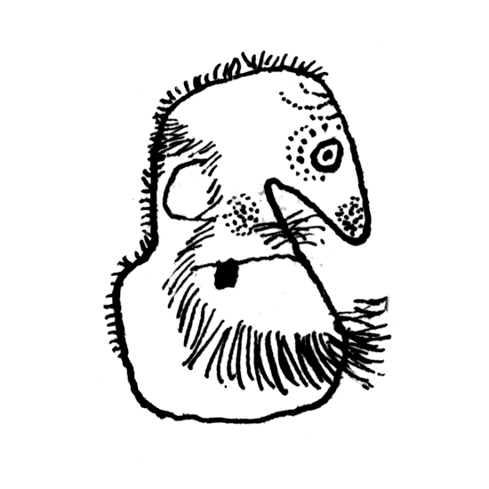 Autor - Edward Ardizzone